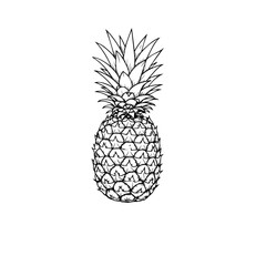 Pineapple Icon in Black and White &ndash; Minimalist Tropical Fruit Vector Illustration