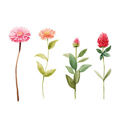 Four stylized floral illustrations in pastel colors.  Each flower has a distinct shade of pink or peach, with light green foliage. 