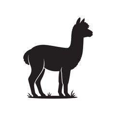Fototapeta premium Black and white llama or alpaca silhouette