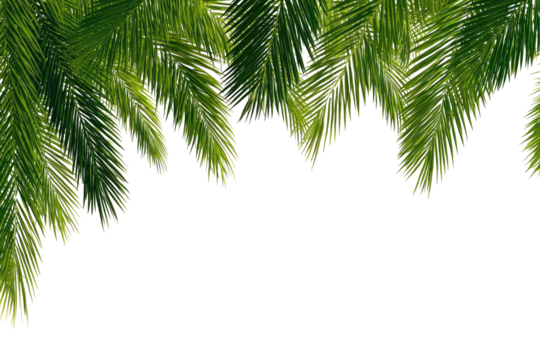 Close-up of vibrant green pine boughs, decorated with tiny, sparkling details, hanging downwards against a black background