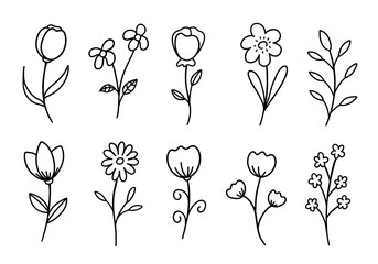 Flower set doodle on white background