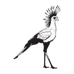 Tall and Elegant Secretary Bird Silhouette – Secretary Bird Vector Graphic for Premium Decor Projects – Secretary Bird Illustration – silhouette of Secretary Bird

