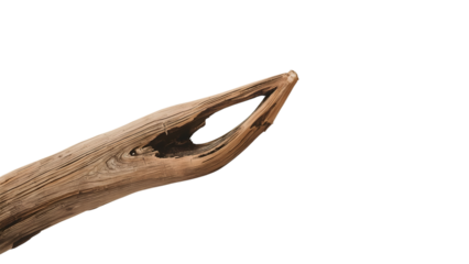 Driftwood's Rustic Elegance: A piece of driftwood, shaped by the elements, showcases its unique form and texture, embodying the raw beauty of nature.