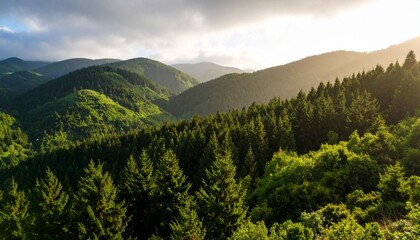 mountain landscape in the morning