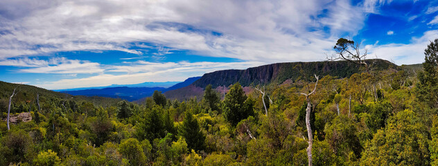 Panorama with dense forest and a table mountain at the northern slopes of the Central Highlands, Tasmania, Australia. In the distance Liffey Forest Reserve
