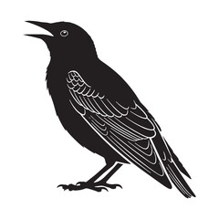 Majestic Starling Silhouette – Starling Vector Template with Notable Plumage Shape – Starling Illustration – Bird Silhouette – Silhouette of Starling

