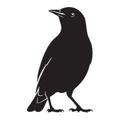 Graceful Starling Silhouette – Starling Vector Artwork for Professional Use – Starling Illustration – Bird Silhouette – Silhouette of Starling

