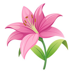 Fototapeta premium pink lily flowers