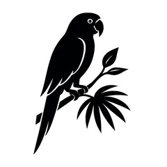 Parrot perched silhouette, tropical branch 