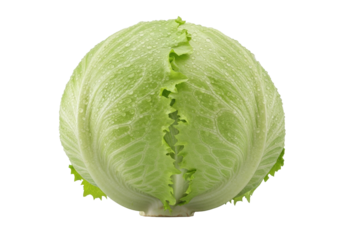 Whole, pristine head of crisp iceberg lettuce with vibrant light green outer leaves and glistening water droplets, on a clean, seamless transparent background, bright studio lighting. Concept for