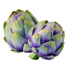Fototapeta premium Two vibrant artichokes, painted in shades of purple and green, featuring detailed leaf structures and a slightly overlapping presentation