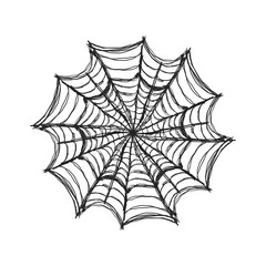 Symmetrical Spider Web