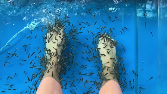Top-down close-up of feet in fish spa aquarium with fish doing peeling treatment