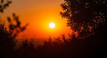 Obraz premium A vivid sunset with a bright sun shining through silhouetted trees and vegetation in the foreground