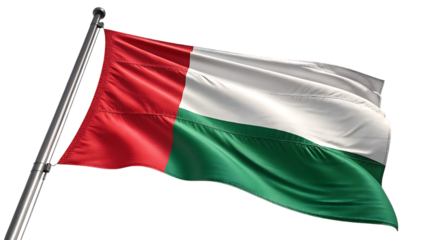 Madagascar flag waving in the wind isolated on transparent background
