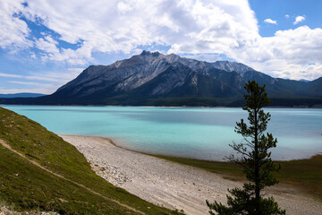 Beautiful view of Abraham lake and Mount Michener in Alberta, Canada