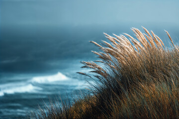 Coastal grass swaying in wind with ocean waves breaking in background