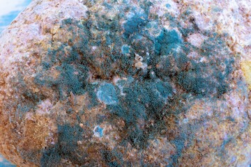 This image shows a close-up of a rock with a variety of colors and textures
