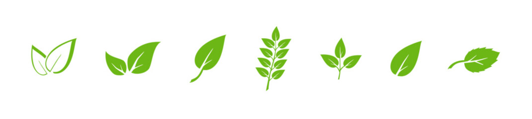 Green leaf icons set. Elements design for natural, eco, vegan. Leaves icon on isolated background. Collection green leaf. Vector
