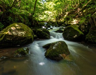 A serene mountain stream flowing through mossy rocks