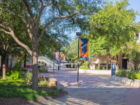 UTSA Paseo walkway photograph 