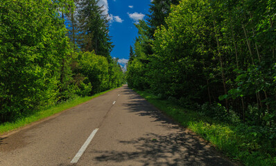 Road view on a summer day. Highways and cars, roadside and white road line markings.