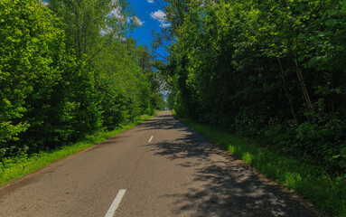 Fototapeta premium Road view on a summer day. Highways and bridge, roadside and white road line markings.