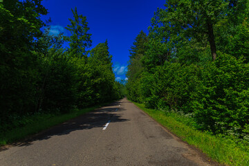 Road view on a summer day. Highways and cars, roadside and white road line markings.