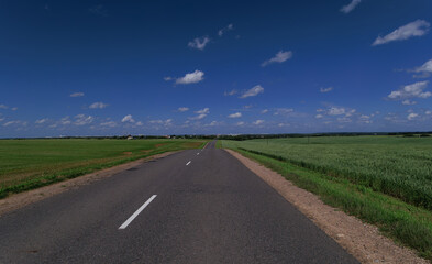Road view on a summer day. Highways and bridge, roadside and white road line markings.