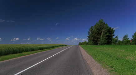 Road view on a summer day. Highways and cars, roadside and white road line markings.
