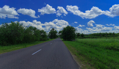 Road view on a summer day. Highways and cars, roadside and white road line markings.