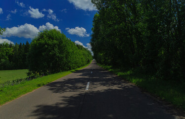 Road view on a summer day. Highways and cars, roadside and white road line markings.