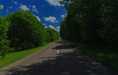 Fototapeta premium Road view on a summer day. Highways and cars, roadside and white road line markings.