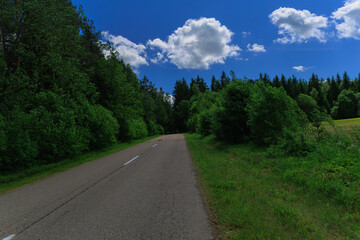 Fototapeta premium Road view on a summer day. Highways and bridge, roadside and white road line markings.
