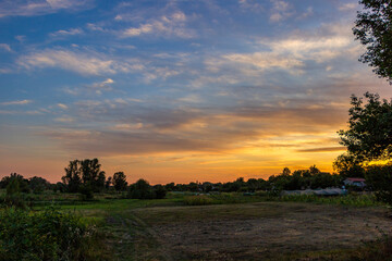 Fototapeta premium contours of trees on the background of the evening sky, orange-blue sunset, clouds, colored light, countryside, village, summer, garden, vegetable garden,