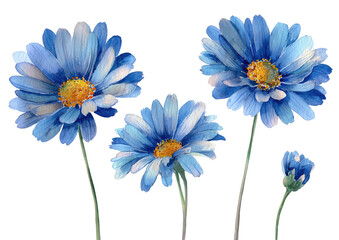 Four vibrant light-blue daisies with slightly darker blue centers and hints of orange-yellow in the centers,  on long thin stems, against a black background.  Soft, painterly style. 