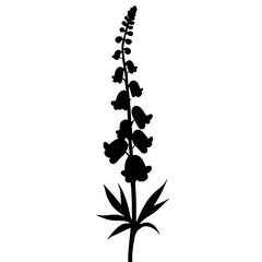 Minimalist black silhouette of foxglove flower against white background © Fuzzy08 Design