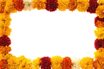 Colorful flower frame on black background