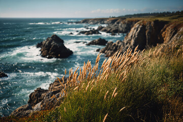 Obraz premium Coastal grass with rocky cliffs and rough sea waves