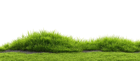 Lush green foliage border against a grassy plain