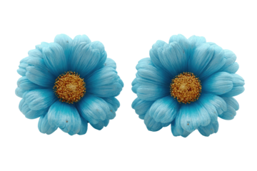 Two light-blue flower stud earrings,  close-up