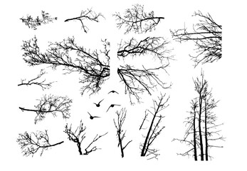 Naked trees silhouettes set. Hand drawn isolated Not AI, Vector illustration
