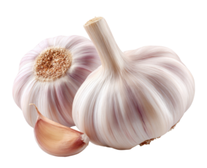 Two whole garlic bulbs, one slightly overlapping the other, with a loose clove