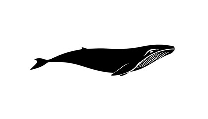 stylized black and white illustration of a humpback whale swimming © Arun