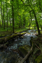 Romantischer Flusslauf