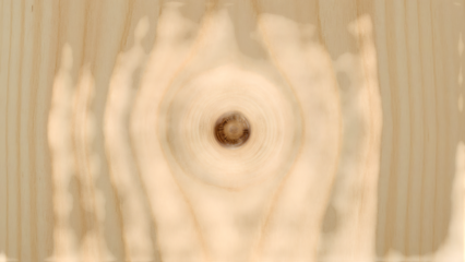 Wood Grain Surface with Bullet Impact: Close-up shot of a detailed wood grain surface, displaying the raw texture. The image shows a central bullet impact on the wood.