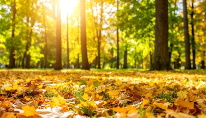 Autumn park, sunbeams through trees