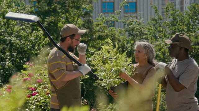 Medium shot of happy multiethnic neighbors chatting while doing horticulture volunteer work in local park. Young Caucasian man with spade and senior woman discussing green sapling in pot for planting