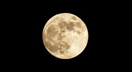 Obraz premium Stunning Full Moon Against Dark Sky Detailed Lunar Surface Texture and Beautiful Nighttime Celestial Photography