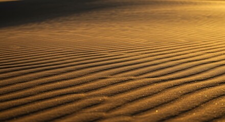 Naklejka premium Close-up of rippled sand patterns on a desert dune, warm golden hues